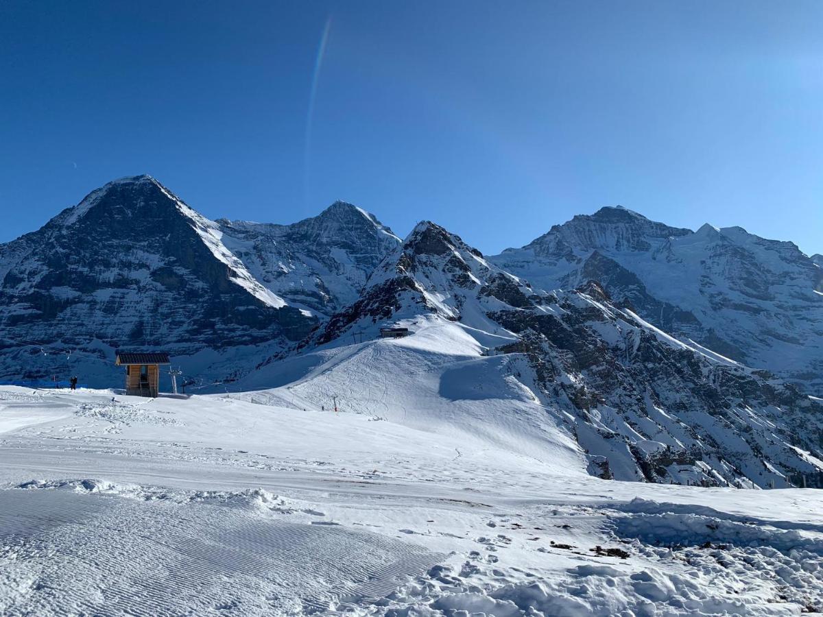 Fluehblüemli Daire Grindelwald Dış mekan fotoğraf