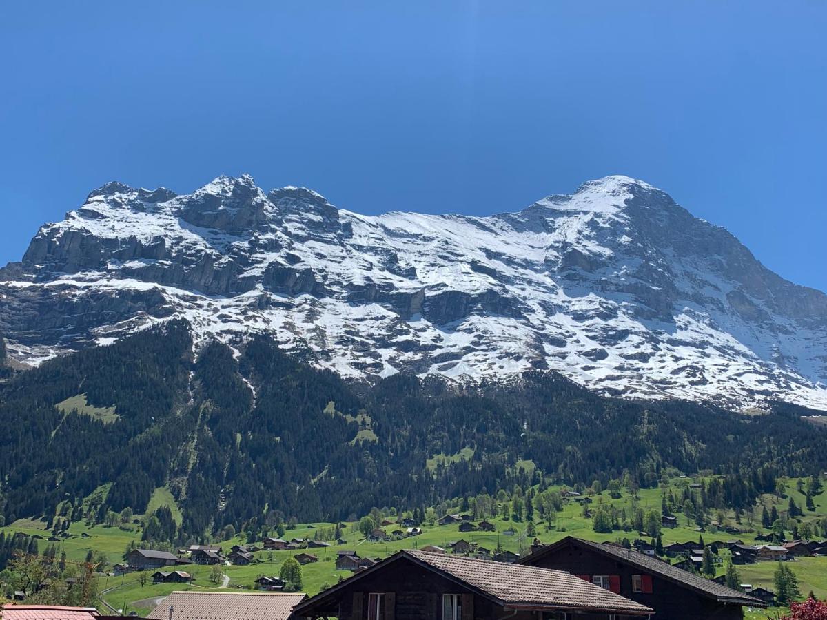 Fluehblüemli Daire Grindelwald Dış mekan fotoğraf